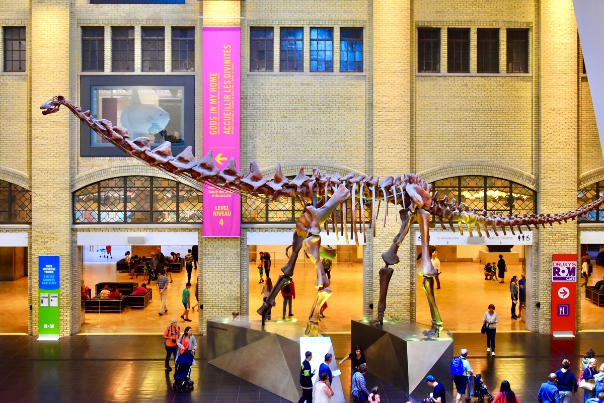 トロント,オンタリオ博物館,恐竜の化石