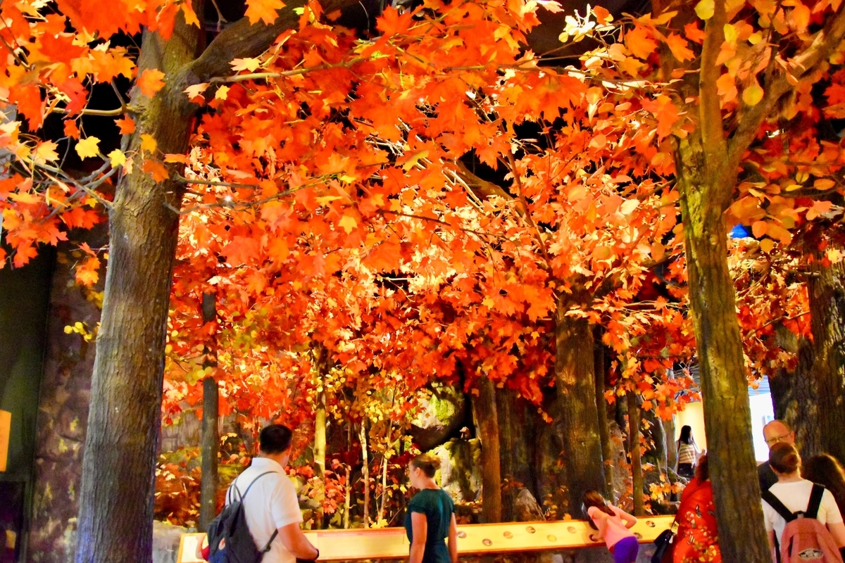 ロイヤルオンタリオ博物館,メープルリーフ