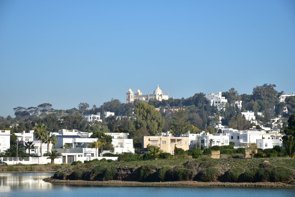 チュニジア旅行;世界遺産周遊の旅 マキ旅