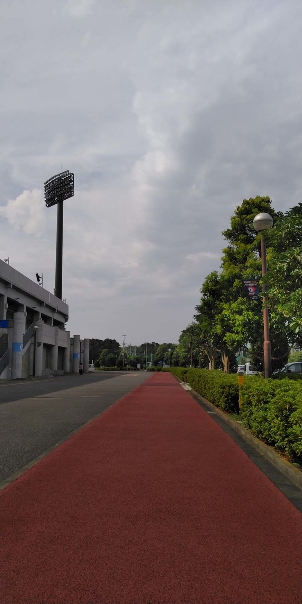 f:id:mytake-enoki:20200813103002j:plain f:id:mytake-enoki:20200813103002j:plain