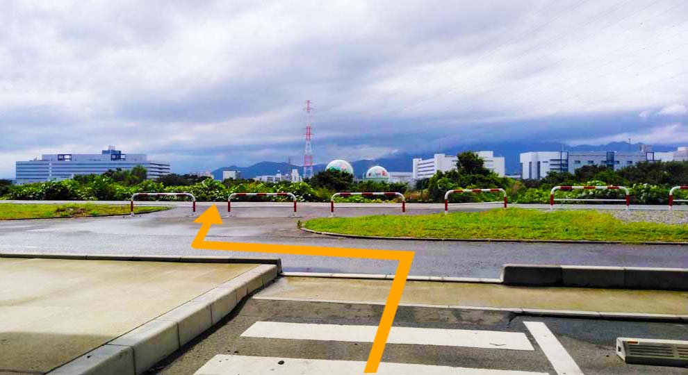 相模三川公園 海老名運動公園 相模川 自転車