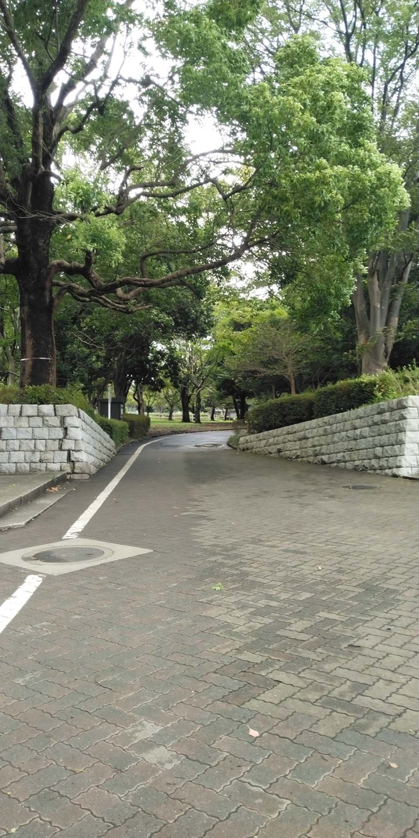 f:id:mytake-enoki:20200912214007j:plain f:id:mytake-enoki:20200912214007j:plain