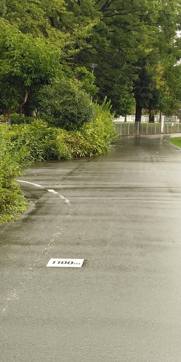 f:id:mytake-enoki:20200912214135j:plain f:id:mytake-enoki:20200912214135j:plain