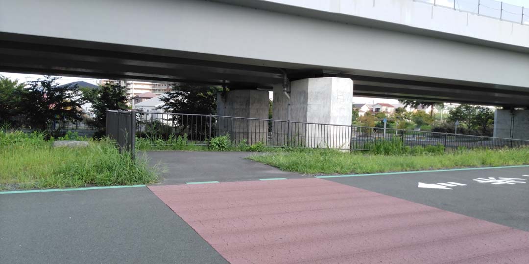 f:id:mytake-enoki:20200923103617j:plain f:id:mytake-enoki:20200923103617j:plain