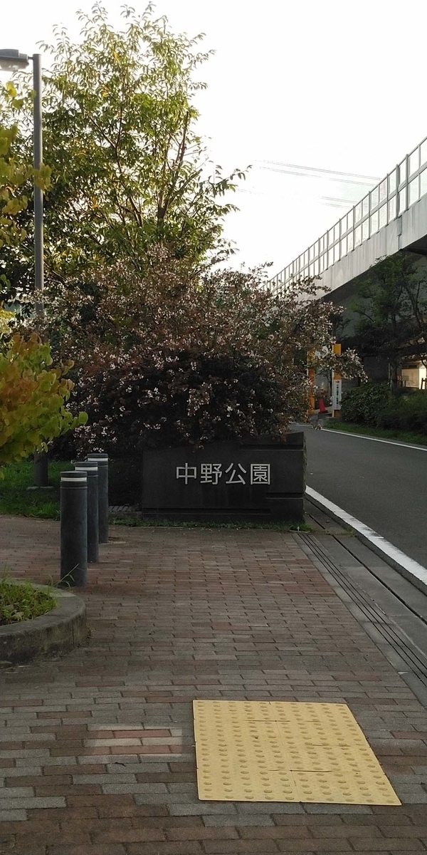 f:id:mytake-enoki:20200923104519j:plain f:id:mytake-enoki:20200923104519j:plain
