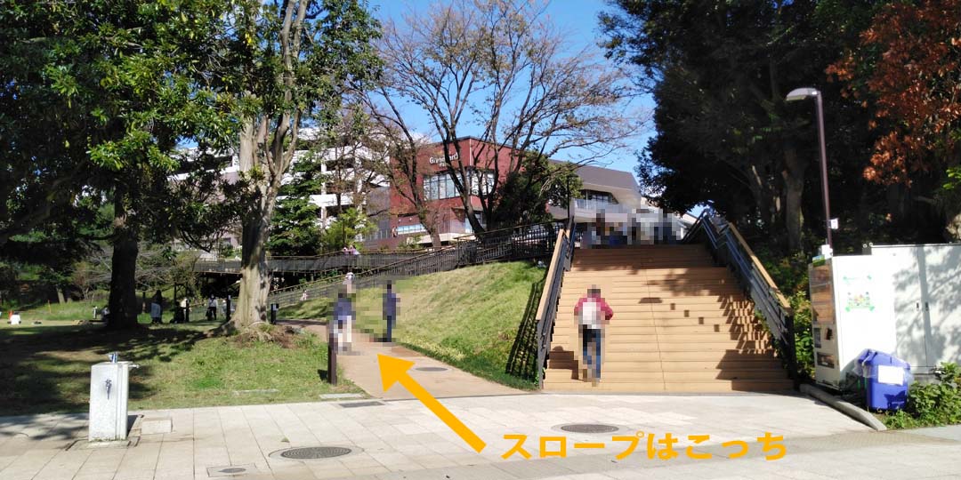 f:id:mytake-enoki:20201121233216j:plain