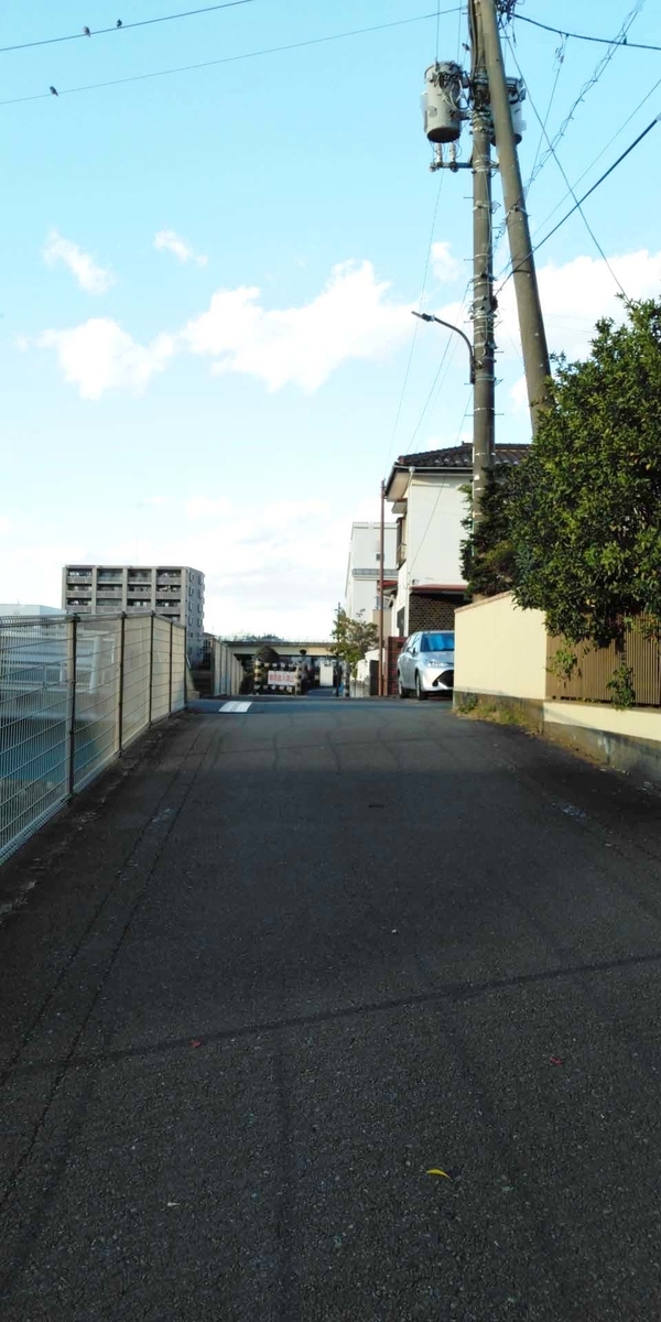 f:id:mytake-enoki:20201224023822j:plain