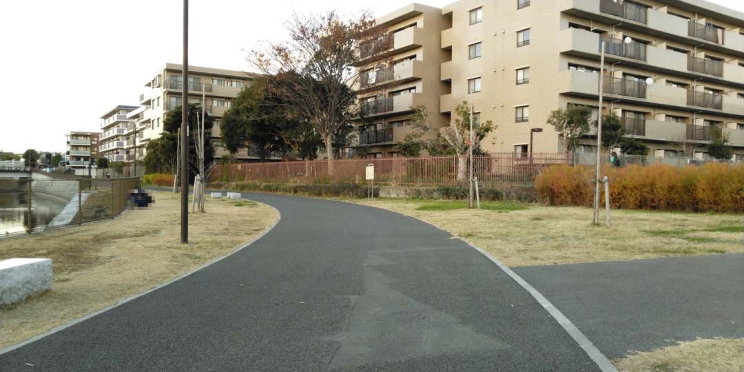 f:id:mytake-enoki:20201224024647j:plain
