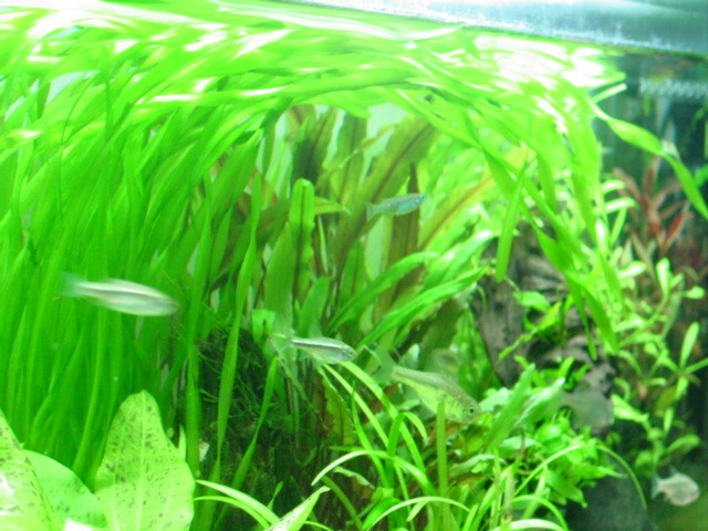 f:id:mytanago:20070327021834j:image:w430 f:id:mytanago:20070327021834j:image:w430
