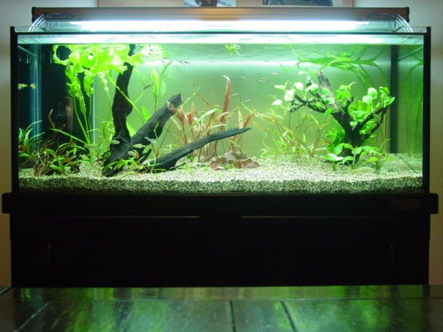 f:id:mytanago:20071216183836j:image:w430 f:id:mytanago:20071216183836j:image:w430