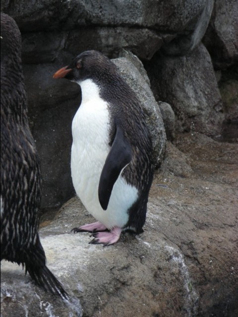 f:id:mytanago:20081111235711j:image:w210 f:id:mytanago:20081111235711j:image:w210