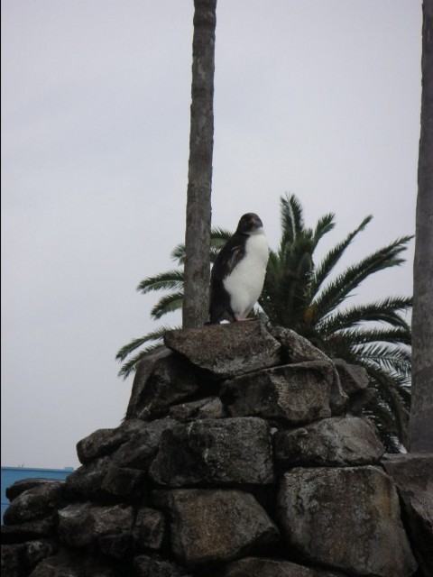f:id:mytanago:20081111235712j:image:w210 f:id:mytanago:20081111235712j:image:w210