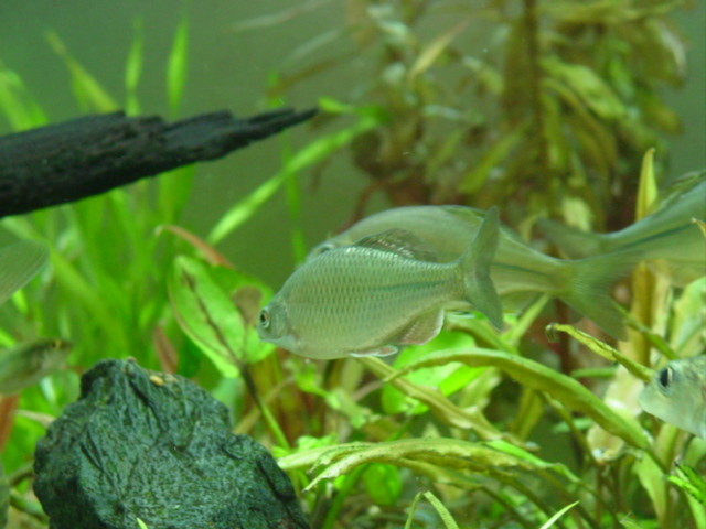 f:id:mytanago:20081119020557j:image:w430 f:id:mytanago:20081119020557j:image:w430