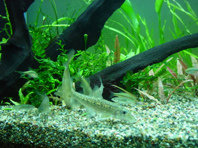 f:id:mytanago:20081119021012j:image:w430 f:id:mytanago:20081119021012j:image:w430
