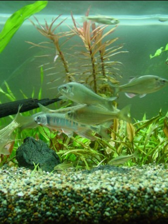 f:id:mytanago:20081120124304j:image:w360 f:id:mytanago:20081120124304j:image:w360