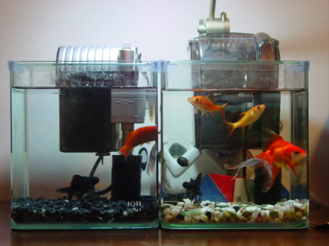 f:id:mytanago:20081231170953j:image:w430 f:id:mytanago:20081231170953j:image:w430