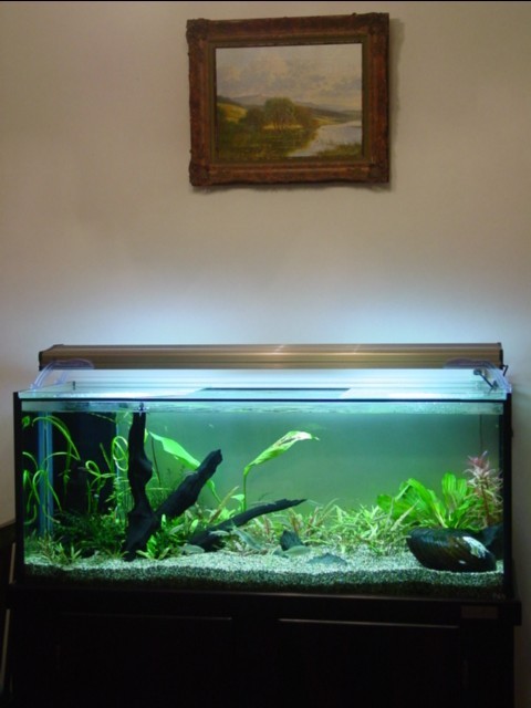 f:id:mytanago:20081231233353j:image:h400 f:id:mytanago:20081231233353j:image:h400