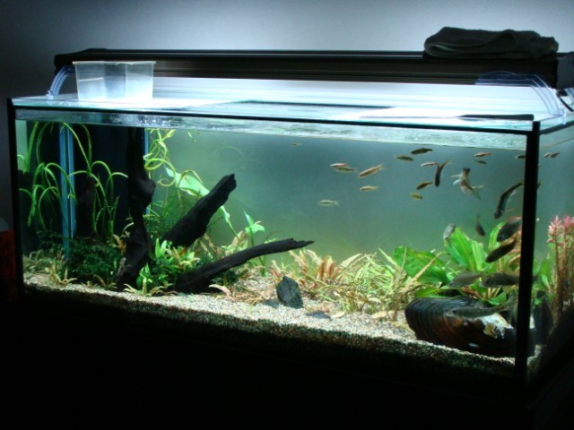 f:id:mytanago:20090128233239j:image:w210 f:id:mytanago:20090128233239j:image:w210