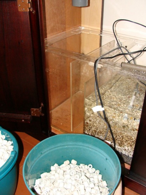 f:id:mytanago:20090204005139j:image:w210 f:id:mytanago:20090204005139j:image:w210