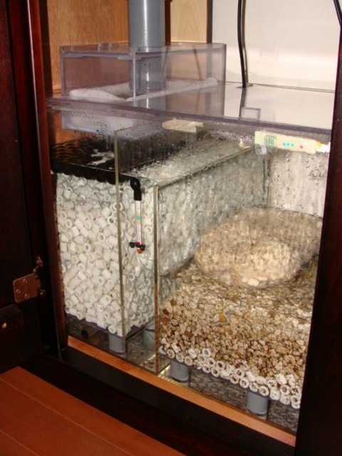 f:id:mytanago:20090204010138j:image:w430 f:id:mytanago:20090204010138j:image:w430