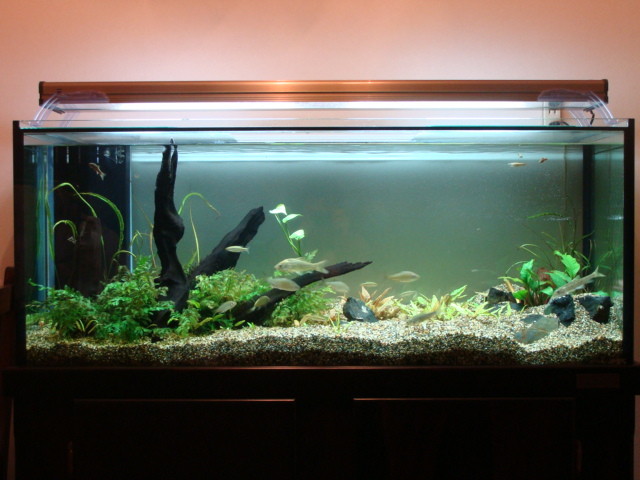 f:id:mytanago:20090503034222j:image:w430 f:id:mytanago:20090503034222j:image:w430