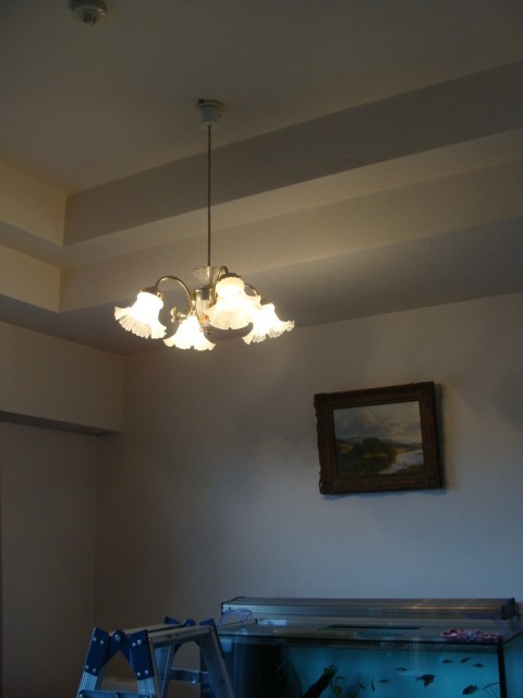 f:id:mytanago:20090611005322j:image:w430 f:id:mytanago:20090611005322j:image:w430