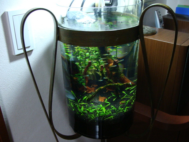 f:id:mytanago:20090815220229j:image:w430 f:id:mytanago:20090815220229j:image:w430