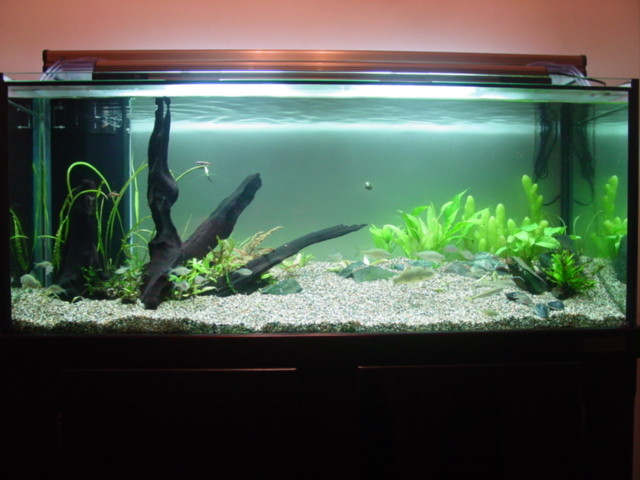 f:id:mytanago:20100109015314j:image:w430 f:id:mytanago:20100109015314j:image:w430