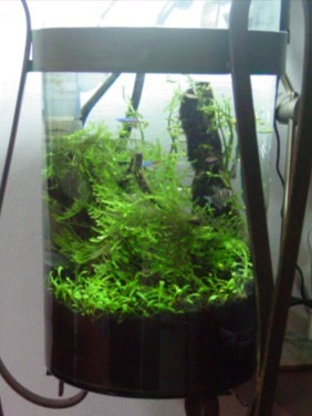f:id:mytanago:20100110204022j:image:w210 f:id:mytanago:20100110204022j:image:w210