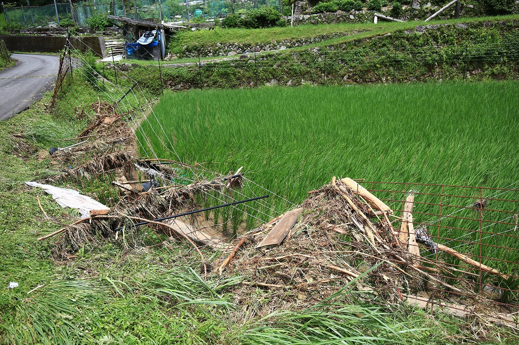 電気柵が倒れる=関市上之保で