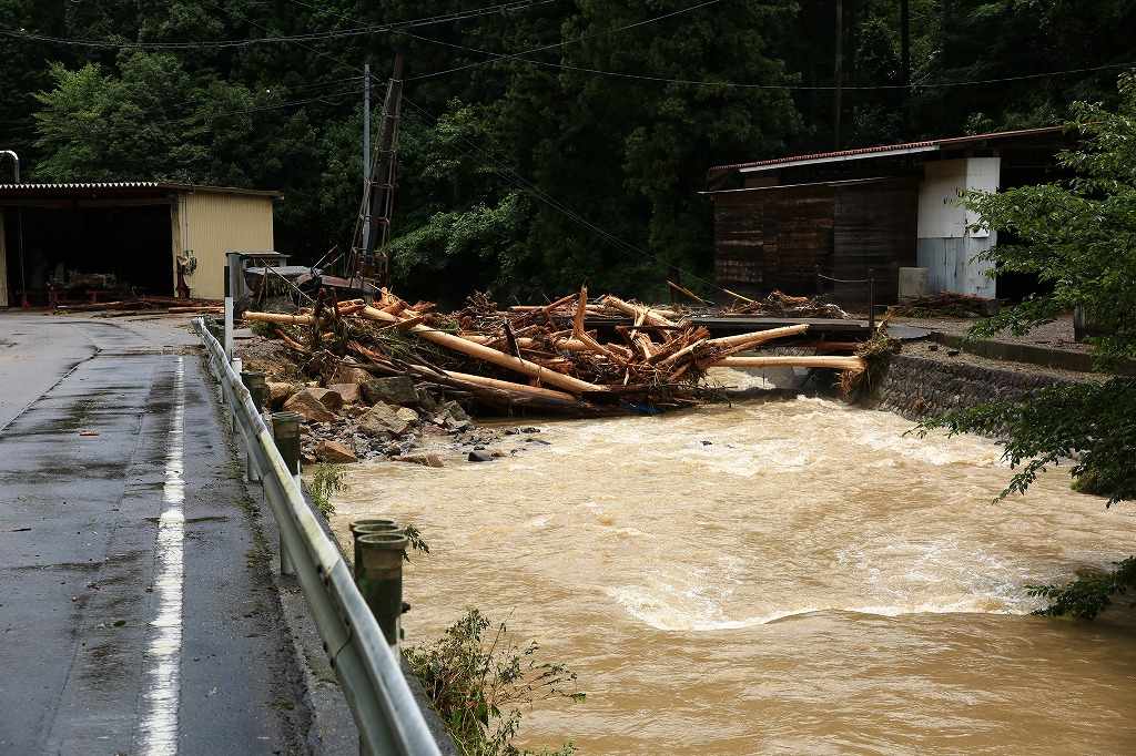 小さな橋に大木が溜まった=関市上之保・船山地区で