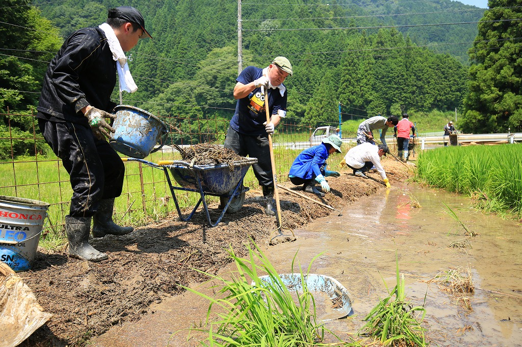 田んぼに丸太やゴミが入り込み、取り除いた=関市上之保で