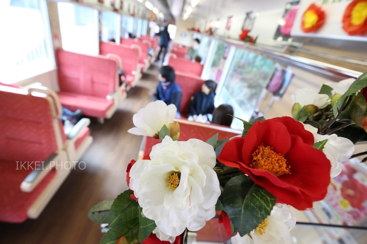 ツバキの花があちらこちらに＝2019年3月 三陸鉄道車内で