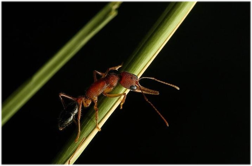 f:id:mythink:20210426171915j:plain