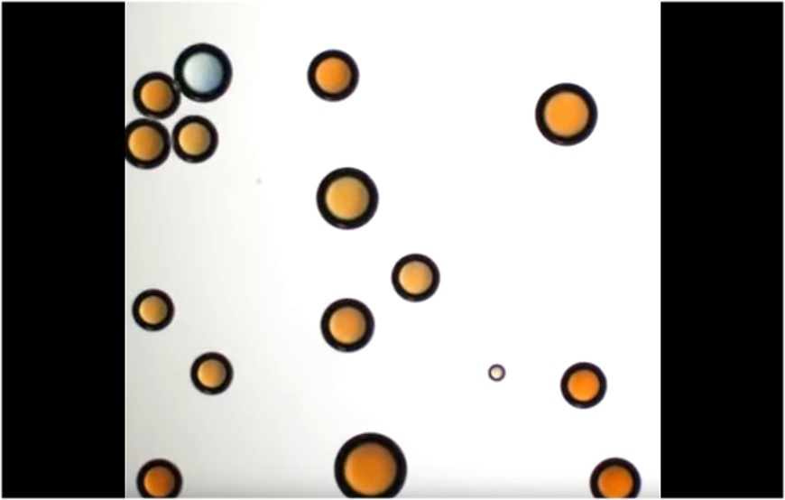 f:id:mythink:20210429212832j:plain