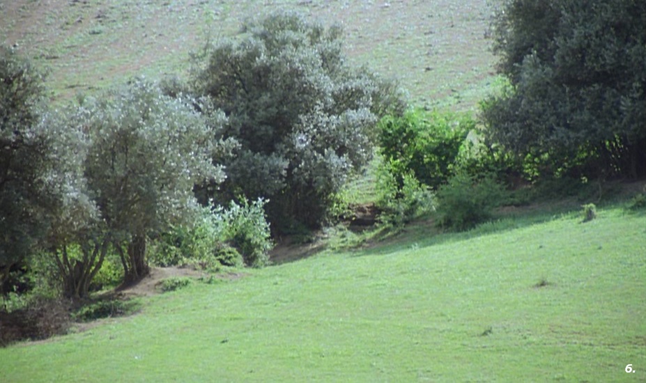 f:id:mythink:20211031172247j:plain