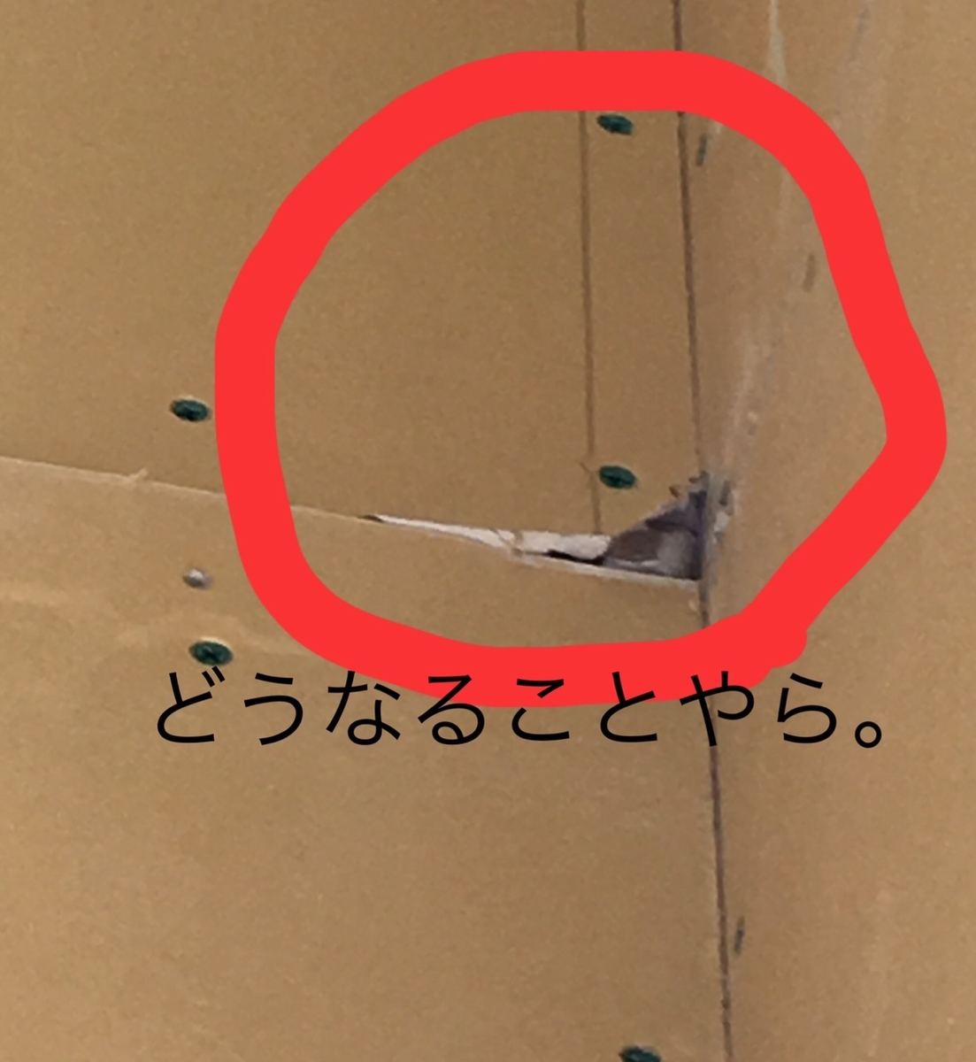 f:id:mytinylife:20190324133057j:plain