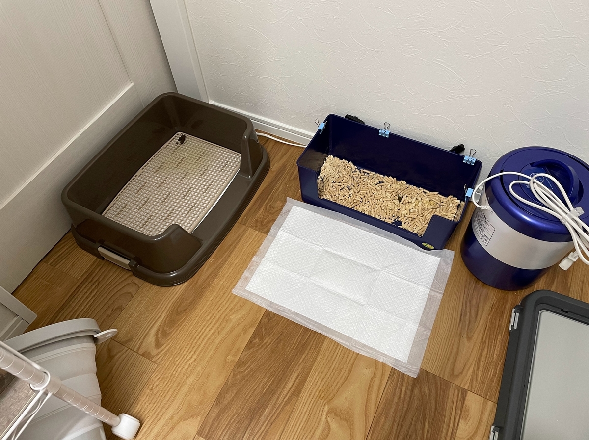 フェレットのトイレのしつけ