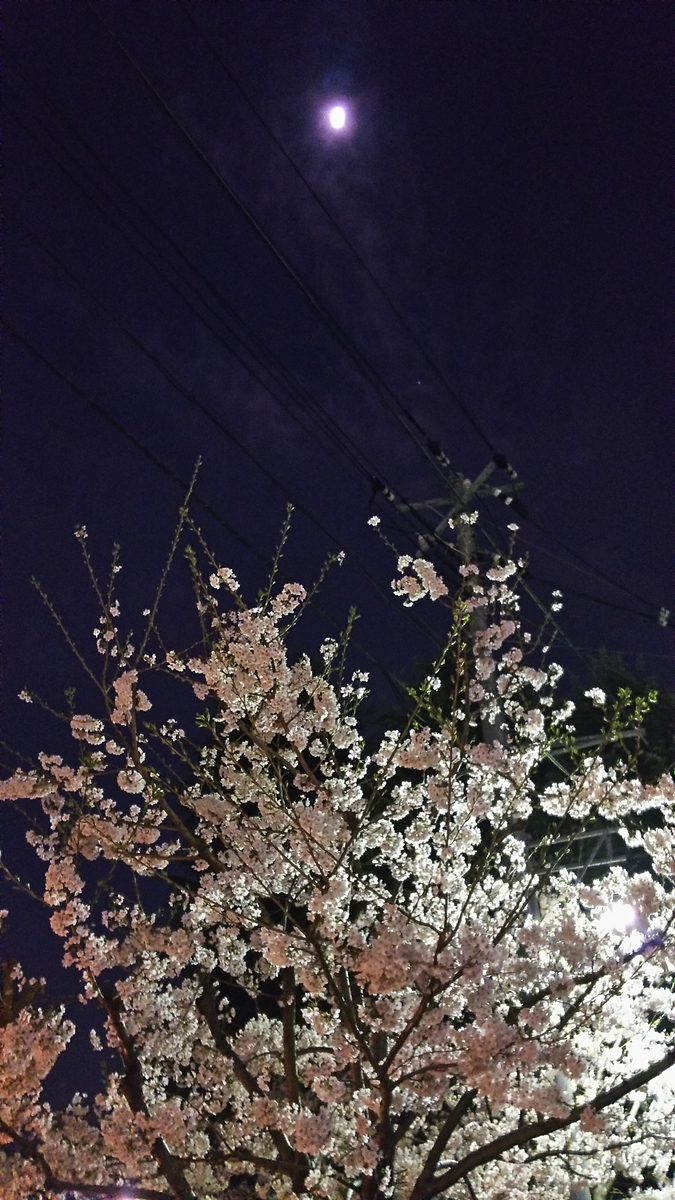 f:id:myuhikaru:20190417220812j:plain f:id:myuhikaru:20190417220812j:plain