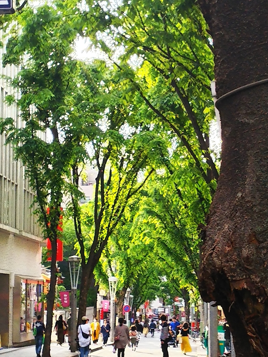 f:id:myuhikaru:20190507130032j:plain f:id:myuhikaru:20190507130032j:plain