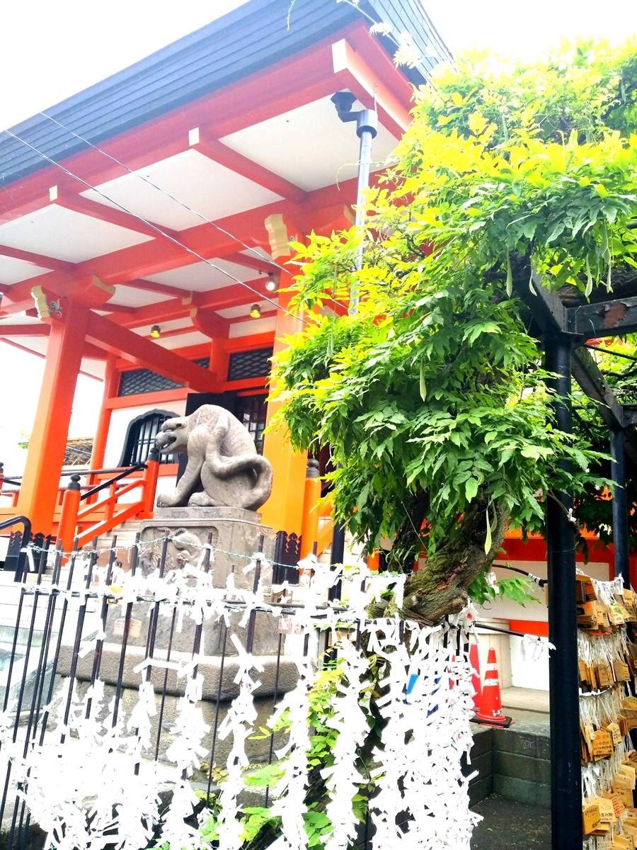 f:id:myuhikaru:20190602183931j:plain f:id:myuhikaru:20190602183931j:plain