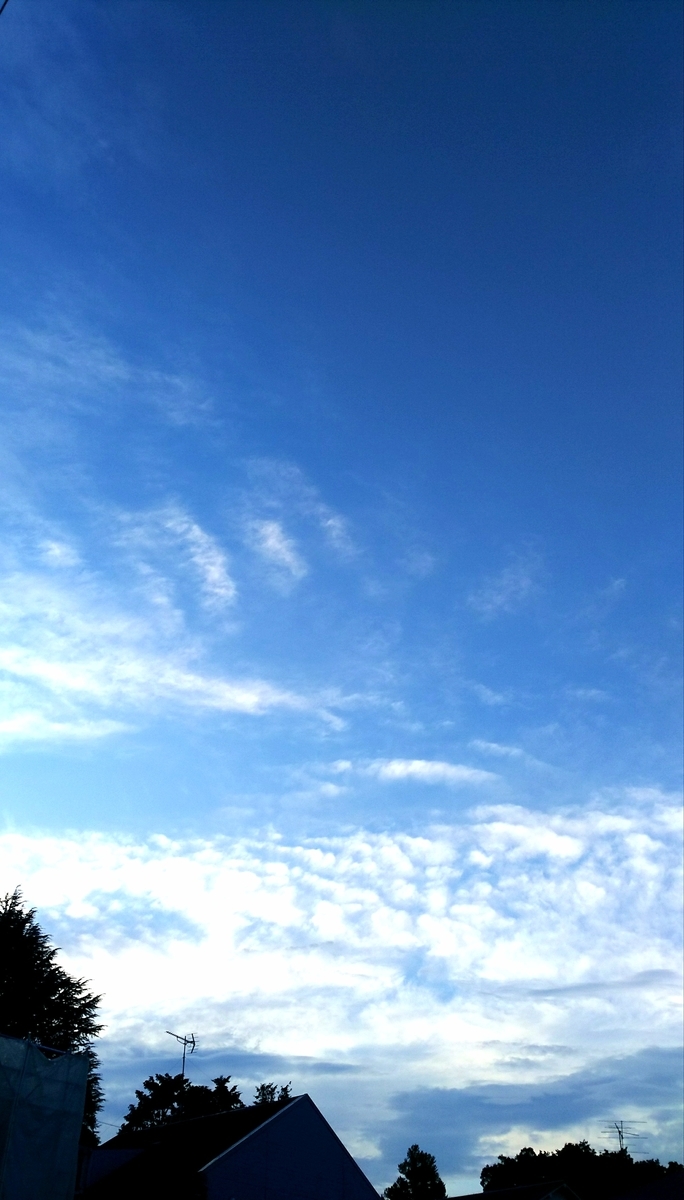 f:id:myuhikaru:20190904135519j:plain