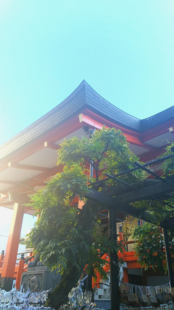 f:id:myuhikaru:20190906192709j:plain f:id:myuhikaru:20190906192709j:plain