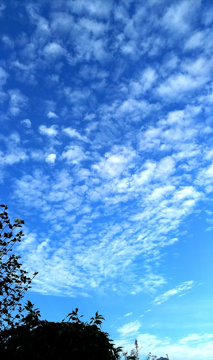 f:id:myuhikaru:20190930215711j:plain f:id:myuhikaru:20190930215711j:plain