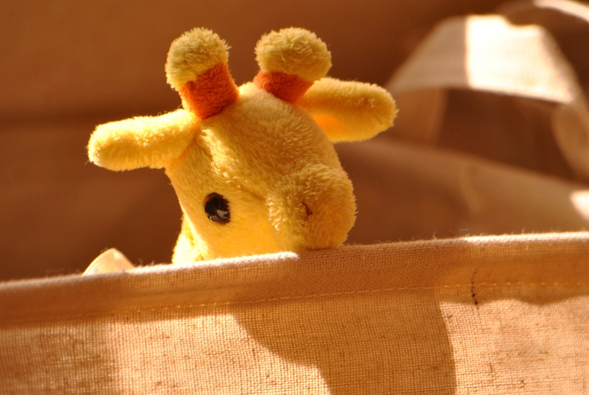 f:id:myuhikaru:20200908220609j:plain