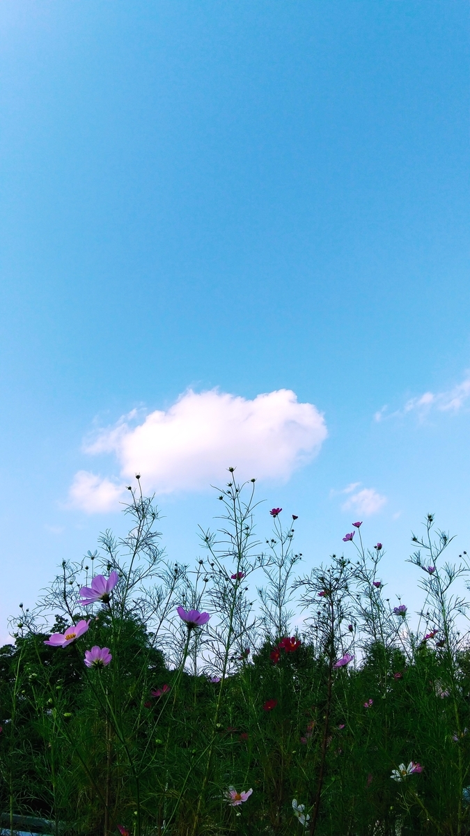 f:id:myuhikaru:20200922231012j:plain f:id:myuhikaru:20200922231012j:plain