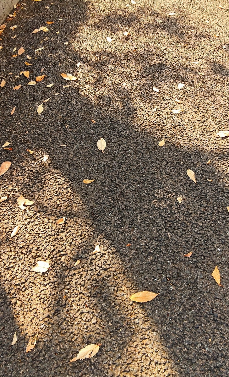f:id:myuhikaru:20201211230032j:plain