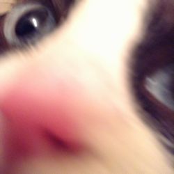 f:id:myukmyuk:20161005231708j:plain
