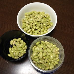 f:id:myukmyuk:20161215232726j:plain