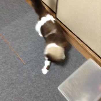 f:id:myukmyuk:20161225121418j:plain f:id:myukmyuk:20161225121418j:plain